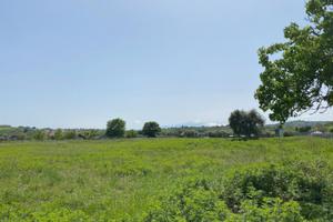 Terreno edificabile e agricolo - Sant'Egidio a V