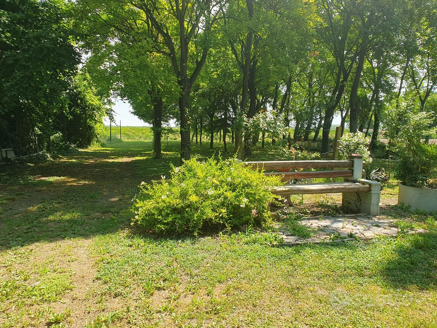 Porzione Vecchia Fattoria in località tranquilla - Vista 5