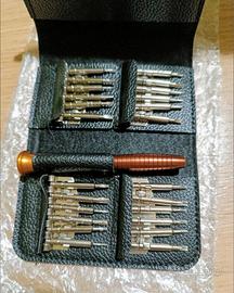 Set Cacciaviti professionale 