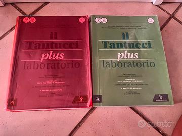 Il tantucci plus laboratorio 1+2