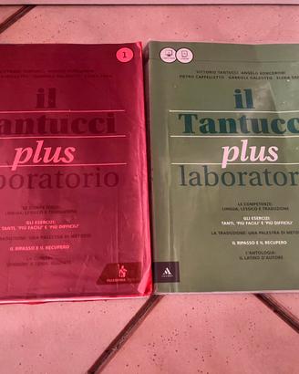 Il tantucci plus laboratorio 1+2