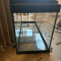 Acquario