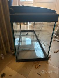 Acquario