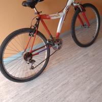 bicicletta mountainbike