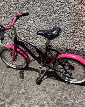 Bicicletta