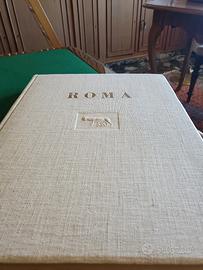 Roma di Donaggio Torino