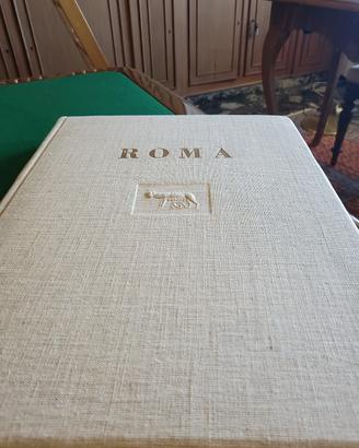 Roma di Donaggio Torino
