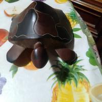 tartaruga in legno