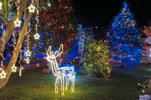 FESTE NATALIZIE, PONTE OGNISSANTI e WEEK END