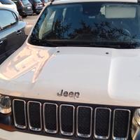 renegade