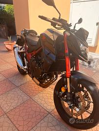 Hornet CB750 - Maggio 2024 - Solo 5.000 km