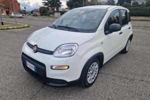 Fiat Panda 1.0 FireFly Hybrid Solo 27 mila km