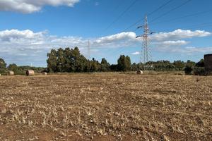 Villacidro Terreno con Ricovero Attrezzi