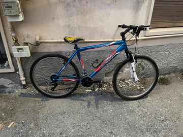 Bicicletta