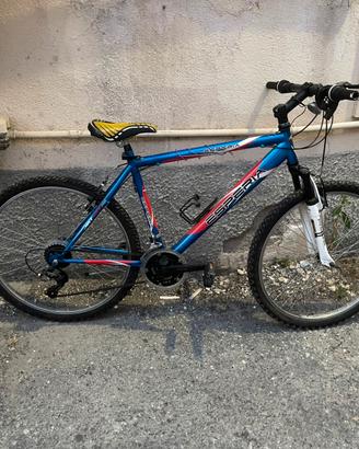 Bicicletta