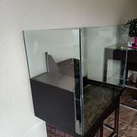 Acquario per tartarughe