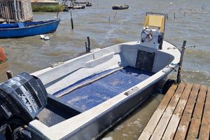 Barca di 5 metri con motore 25 mercury tutt