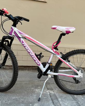 Bicicletta Mountain Bike Montana Spidy