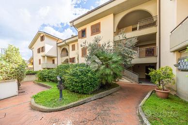 BOX A CASTEL GANDOLFO