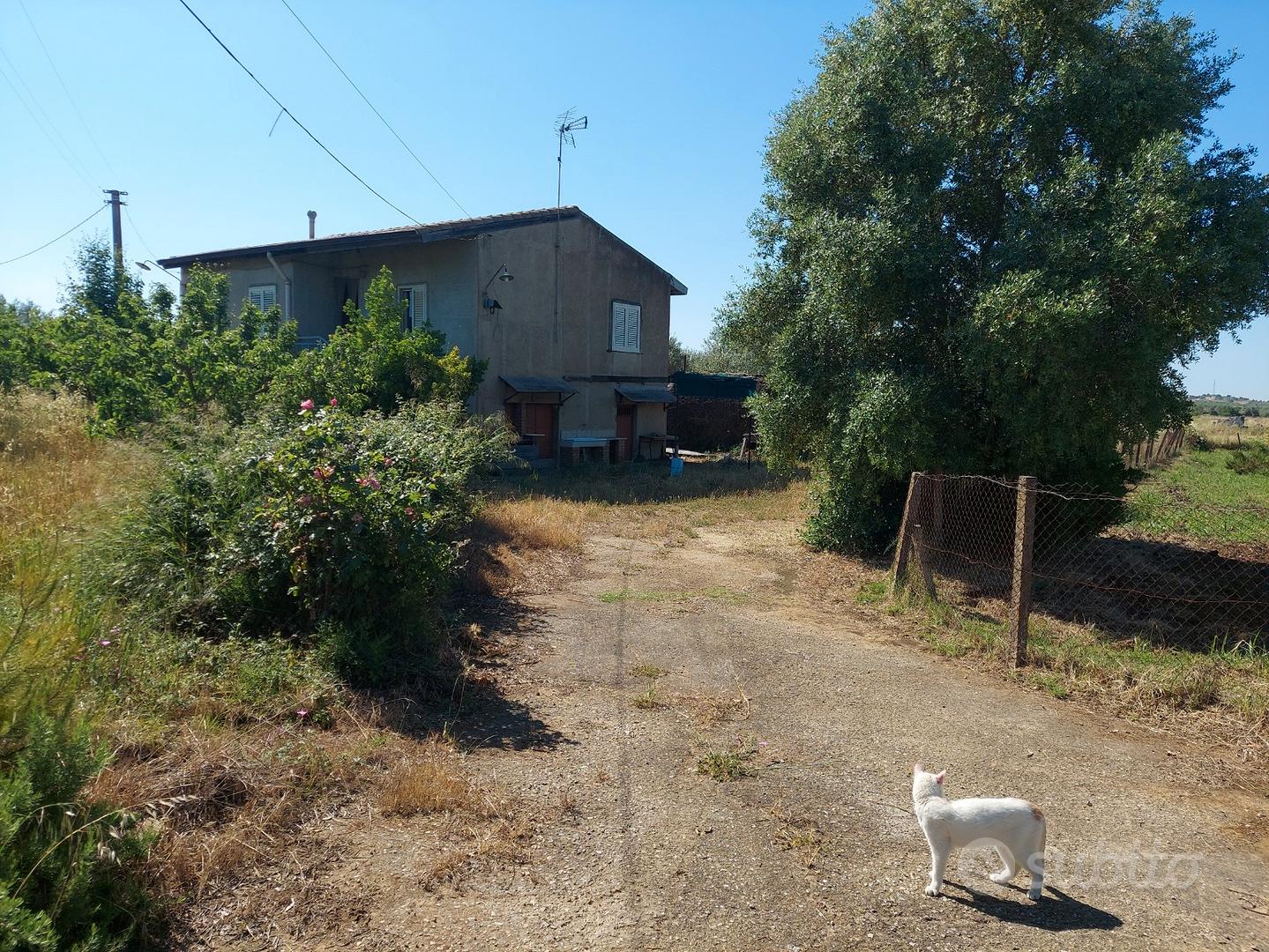 Casa in campagna con fruttetto - Vista 2