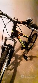 bici  Mountain bike da ragazzo