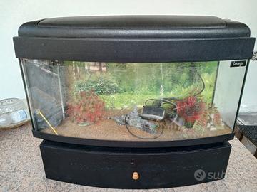 acquario per pesci tropicale 