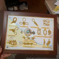Quadro nodo marinari