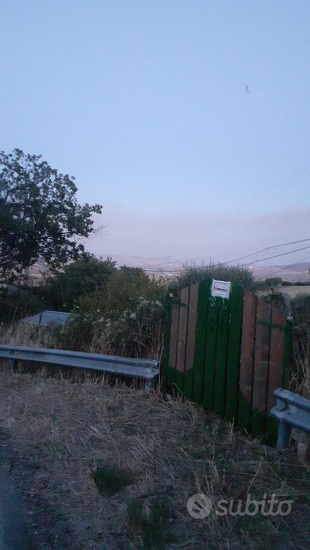 terreno ex vigneto con alberi da frutta - Vista 2