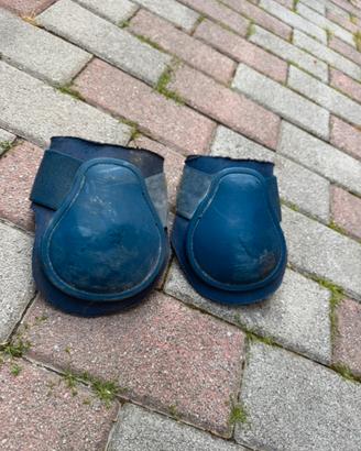 Stinchiere Schockemöhle