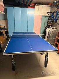 Tavolo da ping pong indoor