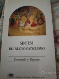 sintesi del nuovo catechismo 
