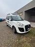 fiat-doblo-trasporto-disabili-tetto-alto