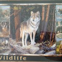 Spiel Spass Puzzle 1000 Wolf
