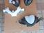 Immagine 4