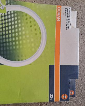 neon circular L32 w/840 lumilux cool white