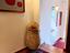 Immagine 21