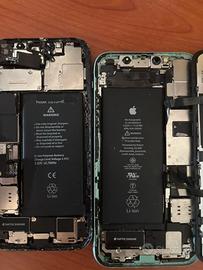 Iphone 12 e Iphone 11