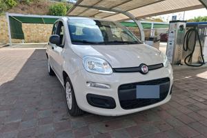 Fiat Panda 1.2 2017