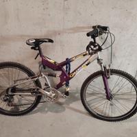 Bicicletta zona Verona