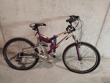 Bicicletta zona Verona