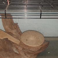 terrario per animali domestici