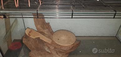 terrario per animali domestici