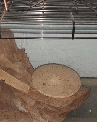 terrario per animali domestici
