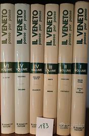 LIBRI VENETO, bassa padovana