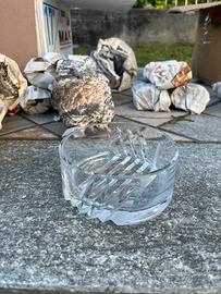 Ciotole per macedonia/gelato