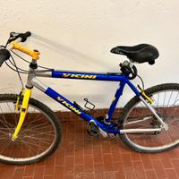 Bicicletta mtb vicini