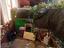 Immagine 28