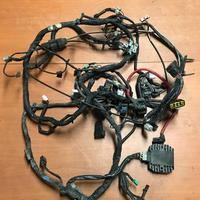 Impianto elettrico Yamaha T-Max '01-'03