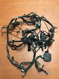 Impianto elettrico Yamaha T-Max '01-'03