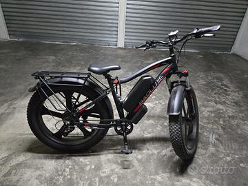 BAOLUJIE Fat Tire E-Bike